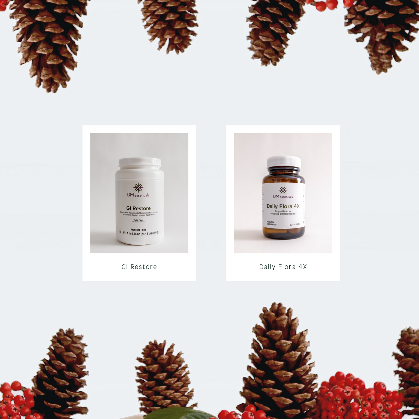 Merry & Light Holiday Bundle